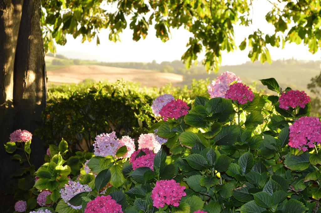 Agriturismo Cavazzone Regnano  Exterior photo